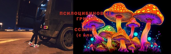 Альфа ПВП Балахна