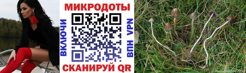 Галлюциногенные грибы MAGIC MUSHROOMS  KRAKEN ССЫЛКА  Новодвинск 